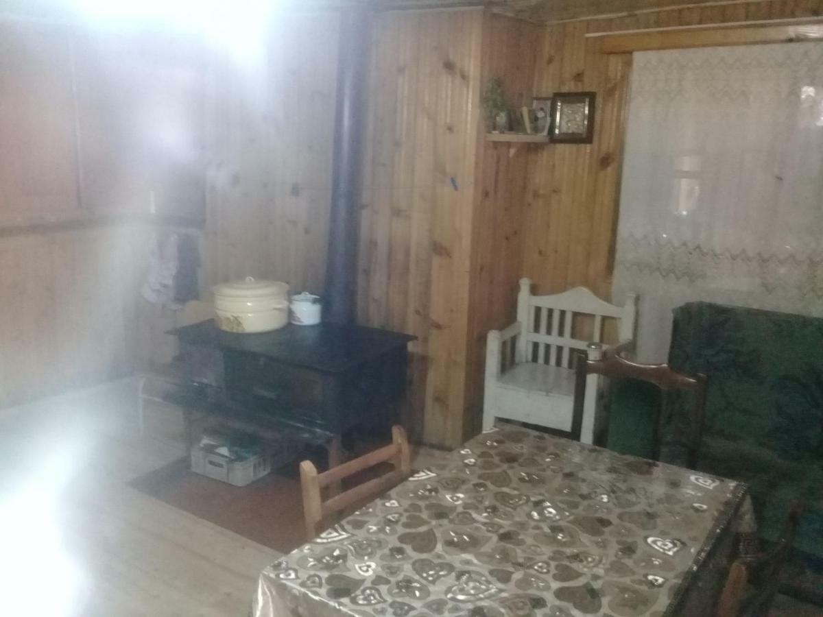 Koba Qaldanis Guest House Adishi Εξωτερικό φωτογραφία